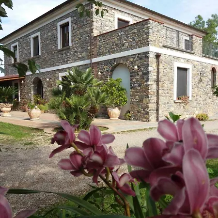Anna Dei Sapori