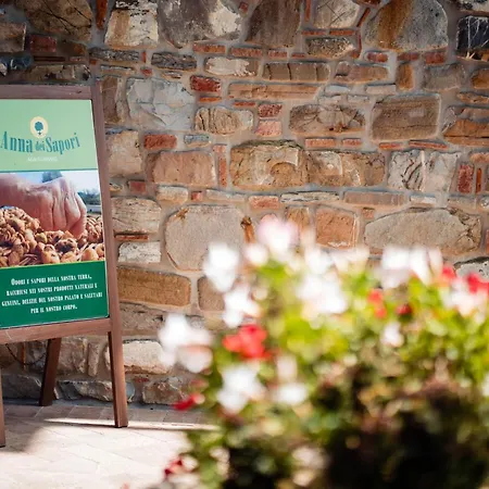 Anna Dei Sapori Farm stay *
